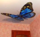 Фотопечать на потолке бабочка