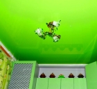 Натяжной потолок зеленый