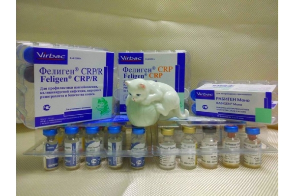 Вакцинация Фелиген CRP для кошек