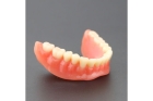 Зубной нижний протез